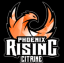 Phoenix Rising Citrine Logo Phoenix Rising Citrine Logo