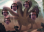 FAT Hydra Logo FAT Hydra Logo