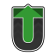 Team Upside Logo
