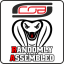 CoB Randomly Assembled Logo CoB Randomly Assembled Logo