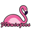 Flamingoes Logo Flamingoes Logo