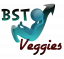 Boostid Gaming Logo