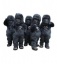 Derbeder Crew Logo Derbeder Crew Logo