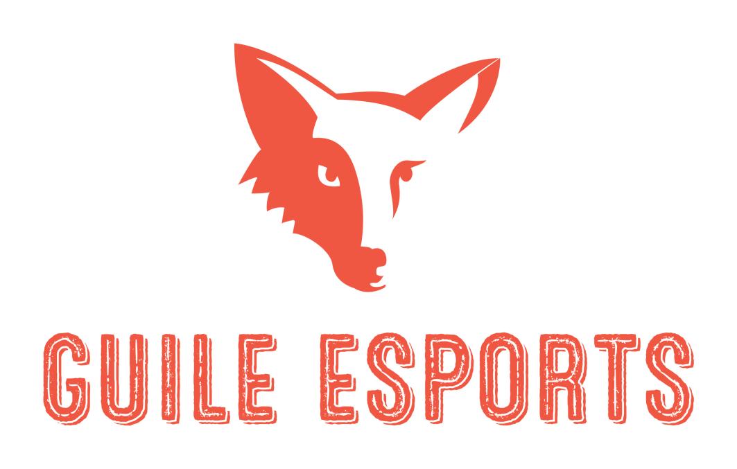 Guile eSports