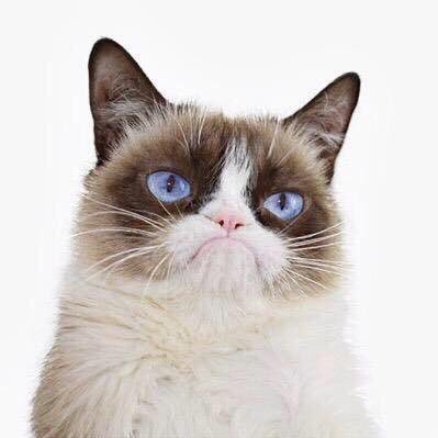 Grumpy Cats