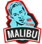 Team Malibu! Logo Team Malibu! Logo