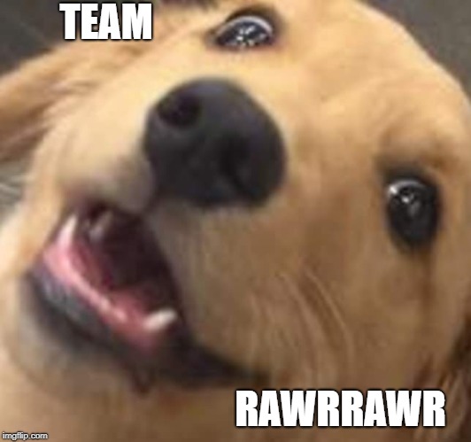 Team Rawr Rawr