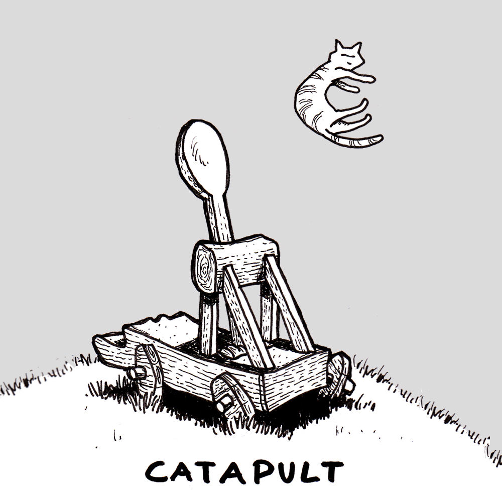 Team CATapult