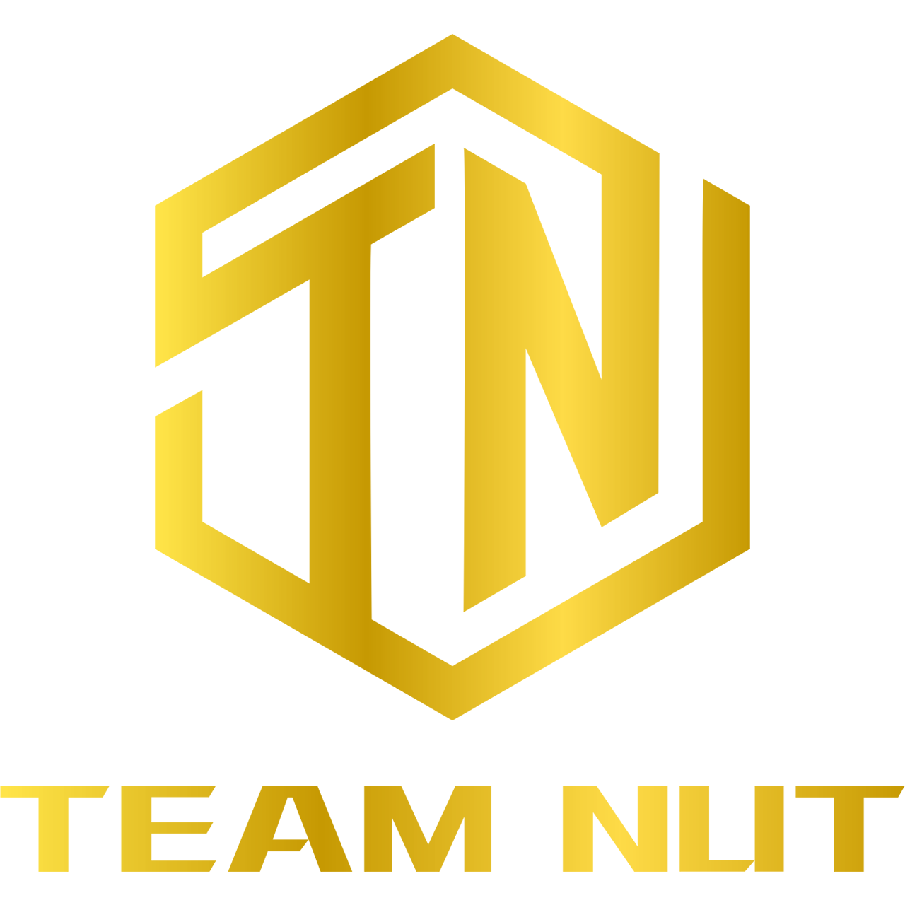 TeamNut Logo
