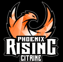 Phoenix Rising Citrine
