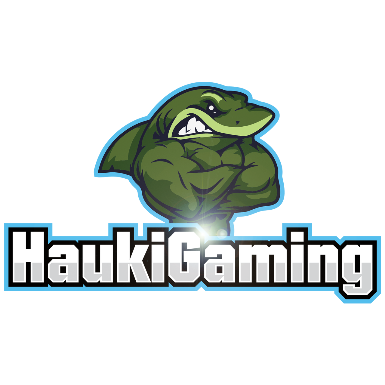 HaukiGaming Logo