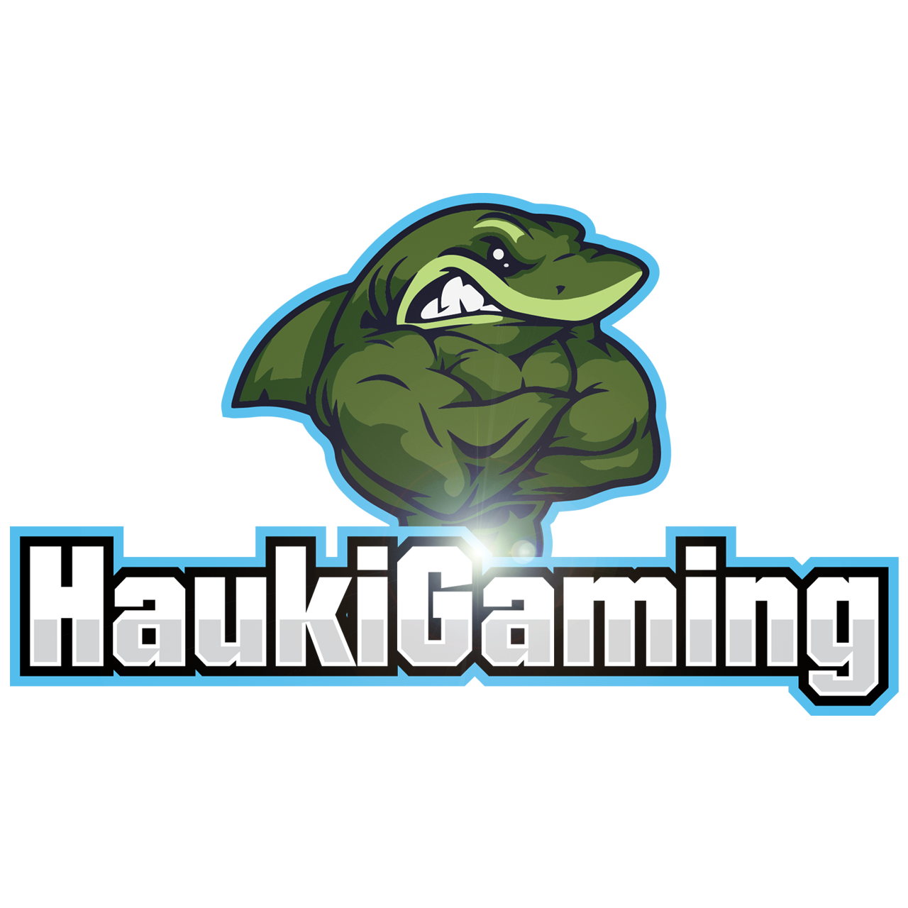 HaukiGaming