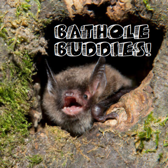 Bathole Buddies Logo