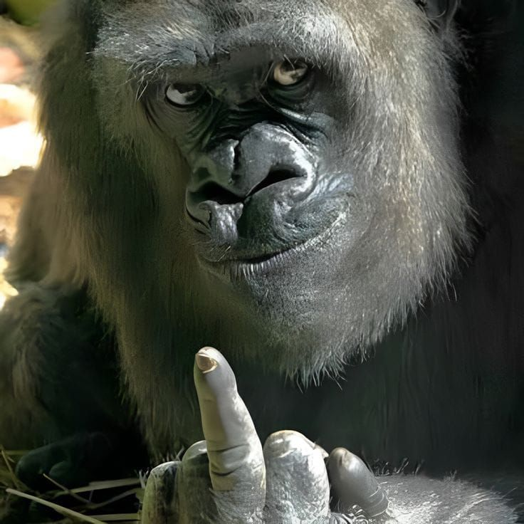 Fuck Shit! Fuck! Logo