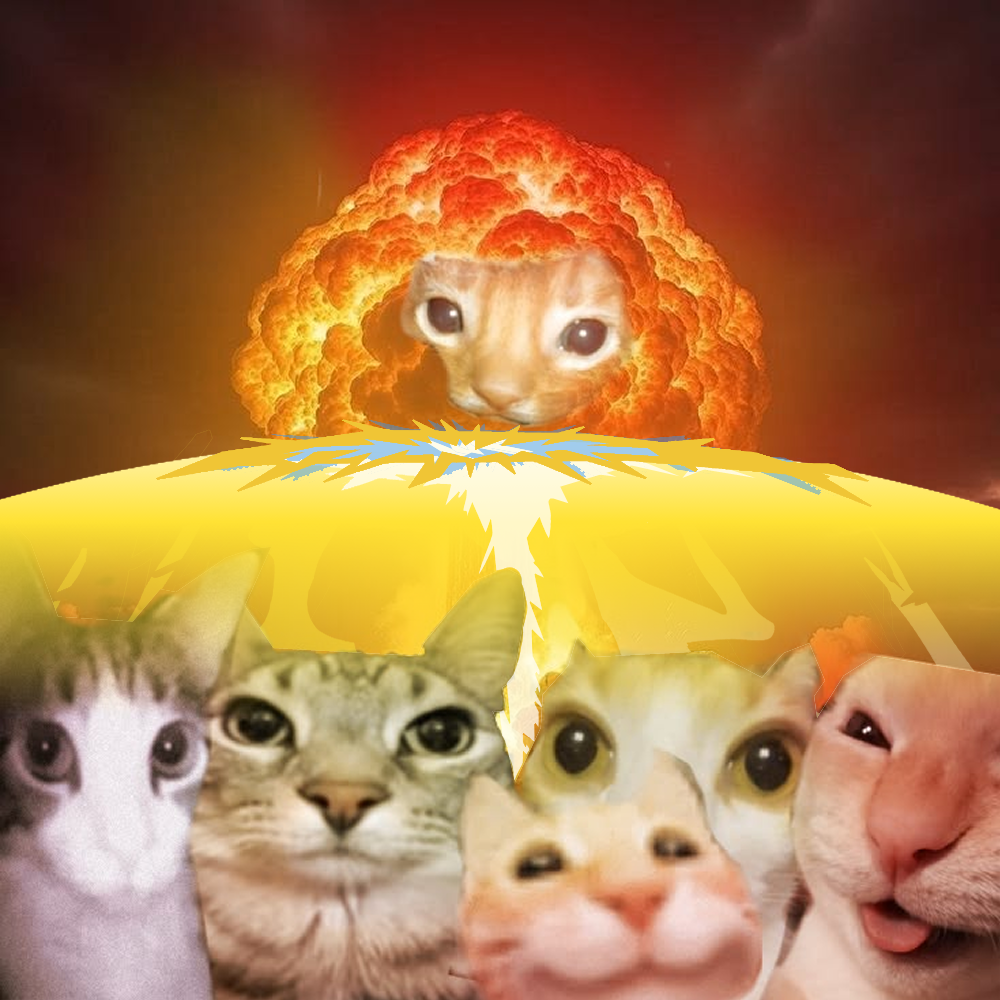 5 cats in the shelter Logo