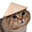 Betamax Avatar