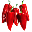 Get Peppered Logo Get Peppered Logo