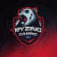 Ryzing Gaming. Logo Ryzing Gaming. Logo