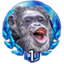 Alucard69 Avatar