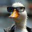 VeterZ Avatar