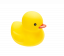 SarenQT Avatar
