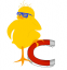 Chick Magnets Logo