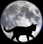 Black Cat Logo Black Cat Logo