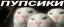 PUPSIKI Logo
