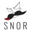 Team snOr Logo Team snOr Logo