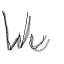 Always Wu Logo Always Wu Logo