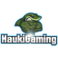 HaukiGaming Logo