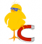 Chick Magnets Logo Chick Magnets Logo