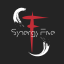 Synergy Five Logo Synergy Five Logo