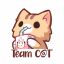Team C@T Logo Team C@T Logo
